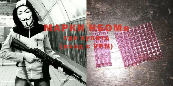 шишки Бикин